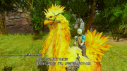 The-Right-Stuff-Quest-LRFFXIII