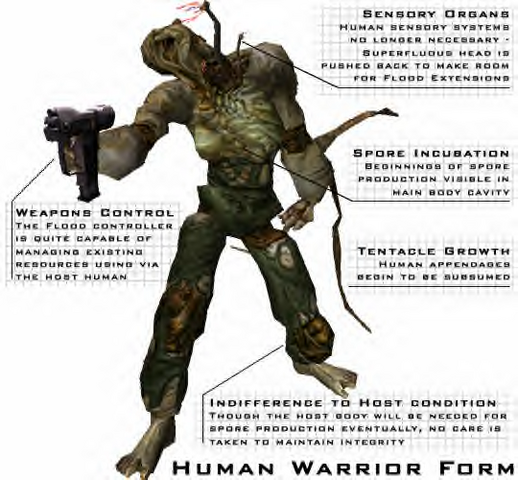 File:Warrior Form Human2.png