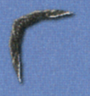 FF4-Boomerang-DS