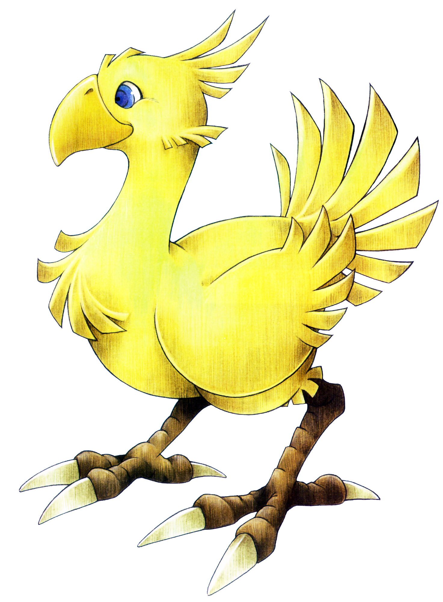 Image result for chocobo ff7