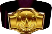 FF7 Champion belt