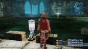 Cuchulainns-Pool-FFXII-TZA