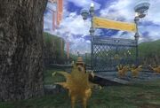 Chocobo Circuit