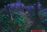 Forest of solitude