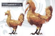 Chocobo Cocoon Gran Pulse