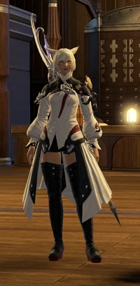 Scion Healer's Robe | Final Fantasy Wiki | FANDOM powered by Wikia