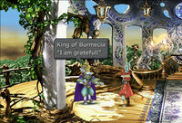 King of Burmecia with Freya