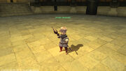 FFXIV Arcanist NPC