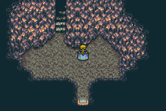 FFVI South Figaro Cave