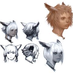 Miqo'te | Final Fantasy Wiki | Fandom