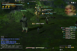 FFXIV Caravan Security