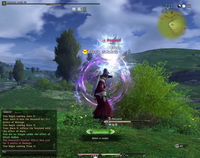 FFXIV 1.0 Frost II