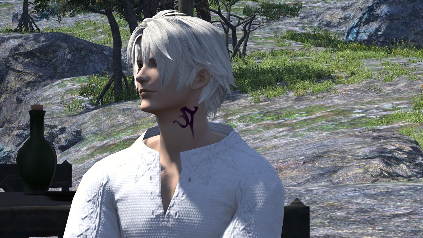 ffxiv stormblood maintenance