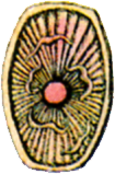 Flame Shield FFI Art
