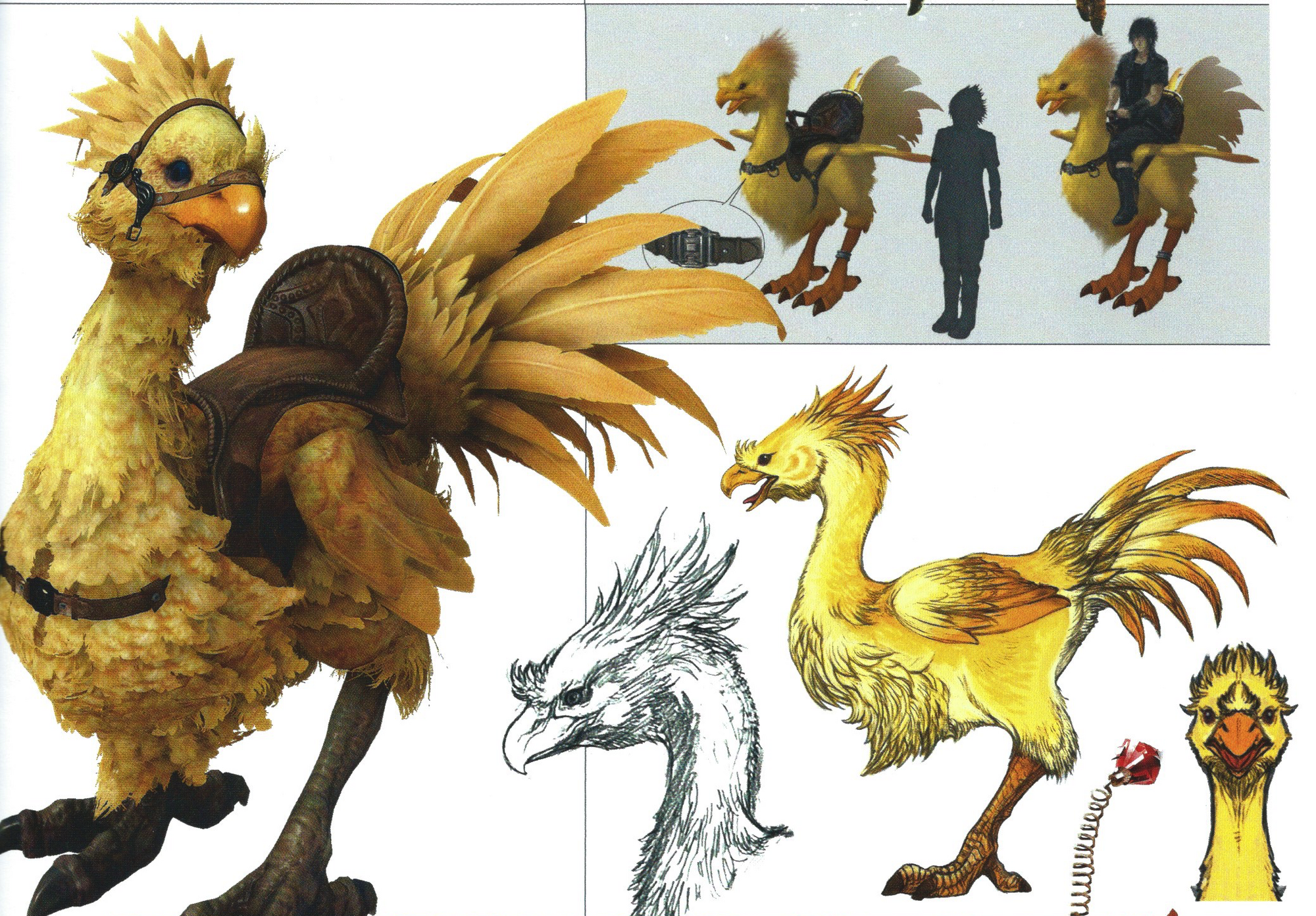 Chocobo Final Fantasy Xv Final Fantasy Wiki Fandom