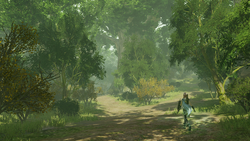 LRFFXIII Wildlande