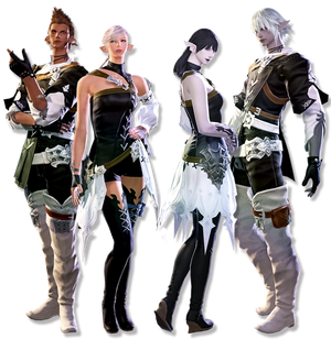 Elezen Profil