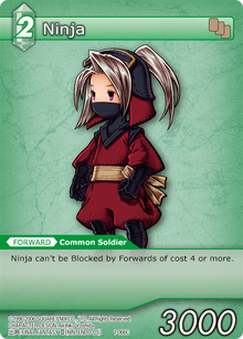 1-066C - Ninja