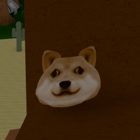 Rock Doge Find The Doges 2 Wiki Fandom