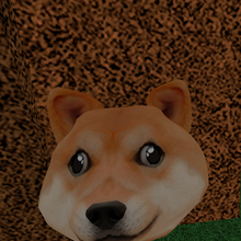 Find The Doges 2 Wiki Fandom