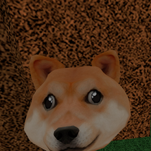 Find The Doges 2 Wiki Fandom - doge war roblox