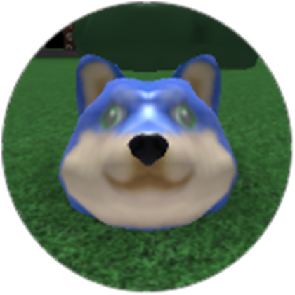 Sonic Doge Find The Doges Wiki Fandom - like boss doge roblox