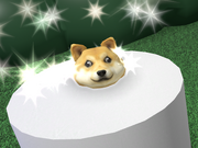 Category Doges Find The Doges Wiki Fandom - missing doge roblox