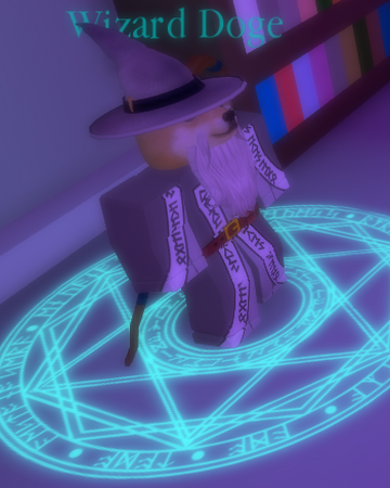 Wizard Doge Find The Doges Wiki Fandom