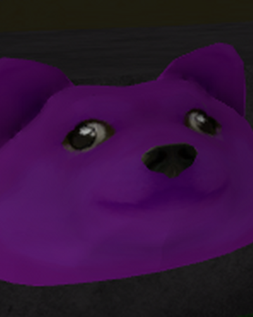 Berry Doge Find The Doges Wiki Fandom - find the doges roblox doge roblox