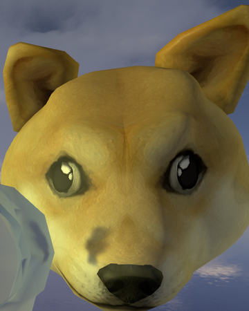 Giant Doge Find The Doges Wiki Fandom