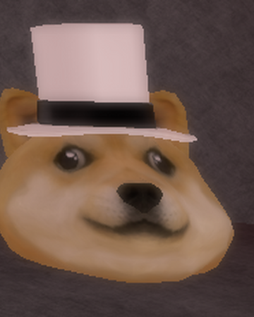 Jj5x5 Doge Find The Doges Wiki Fandom - doge room roblox