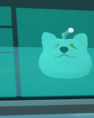 Decal Roblox Doge