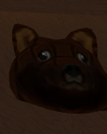 Chocolate Doge Find The Doges Wiki Fandom - find the doges roblox doge roblox
