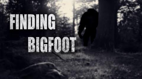 Bigfoot Creature Finding Bigfoot Game Wiki Fandom - bigfoot roblox wiki