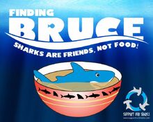 Finding bruce