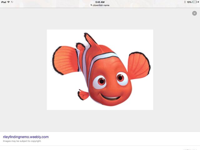 File:Nemo.jpg