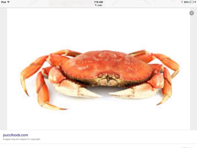 File:Crab.jpg