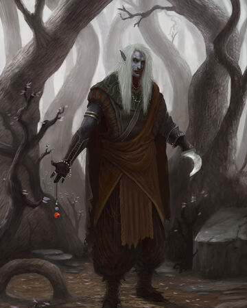Drow Drow Shayri Findle Wiki Fandom