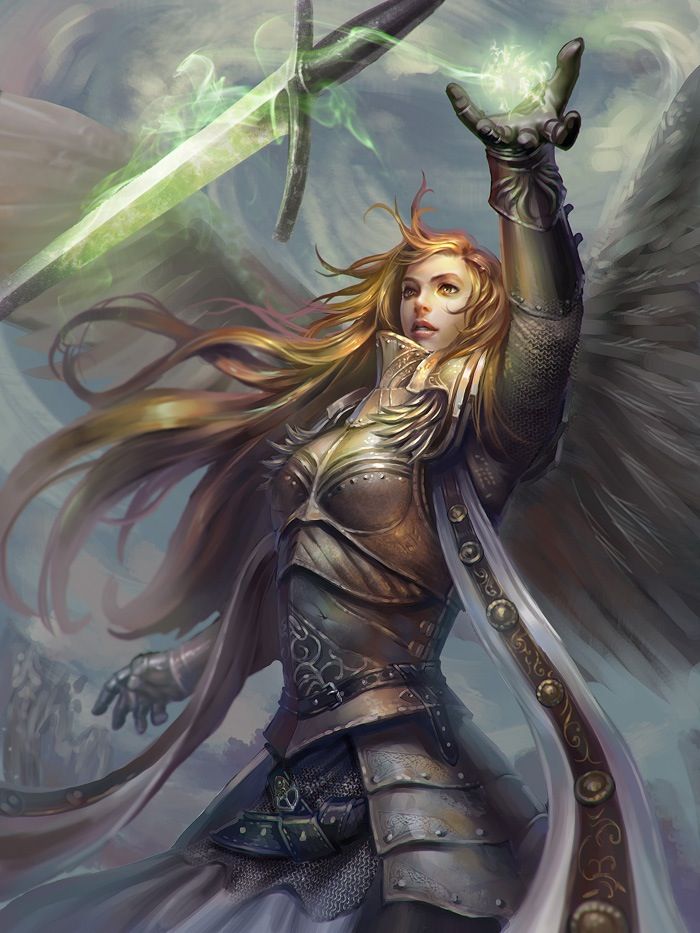 Paladin | Findle Wiki | Fandom