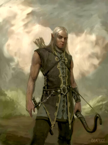 Image - Sun Elf Page.jpg | Findle Wiki | FANDOM powered by Wikia