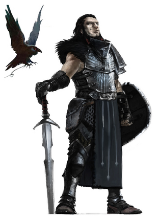 Raven Knight