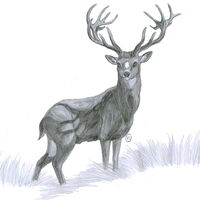 Rannoch Firebringer Wiki Fandom