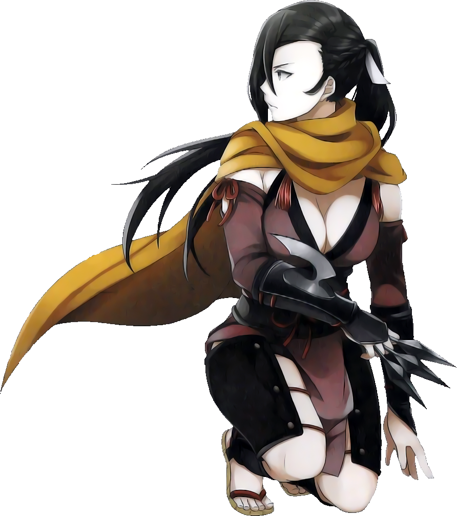 Ninja Build Fire Emblem Fates Ninja Build Fire Emblem Fates