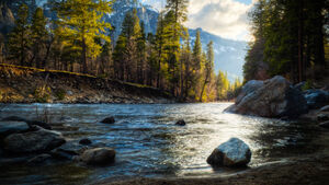 WhiteRiver