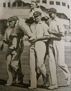 Bradman chaired