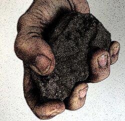 4-the-seed