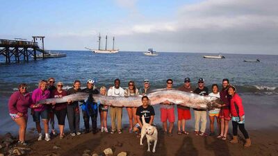Oarfish1920