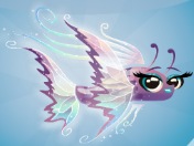 Photo(8)