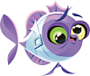 Little-Aquarium-Crazy-Fish-Adult