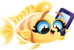 Adult Gossip Fish